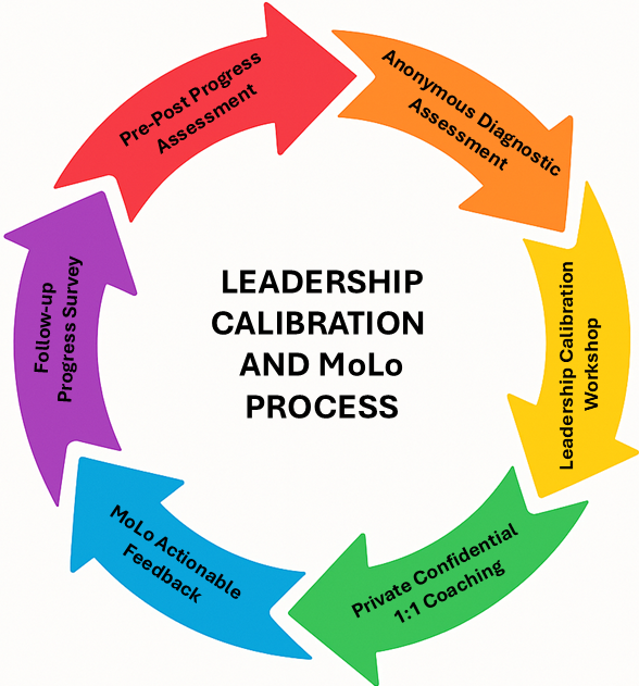 Leadership Calibration Process